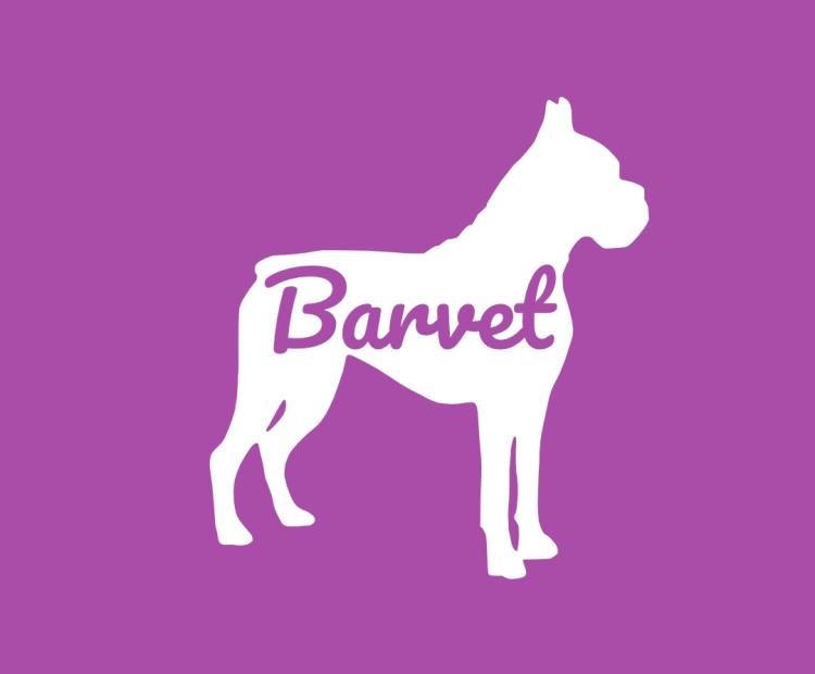 Logo Barvet