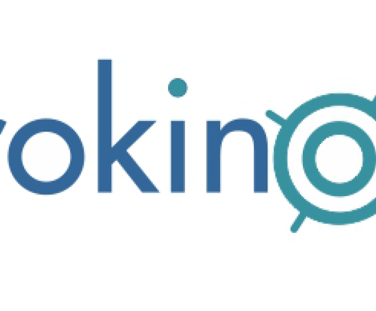 Logo Crokinole