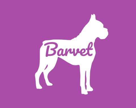 Logo Barvet
